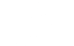 Angelini Foundation Logo